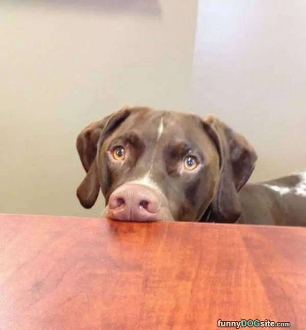 I Want A Bite