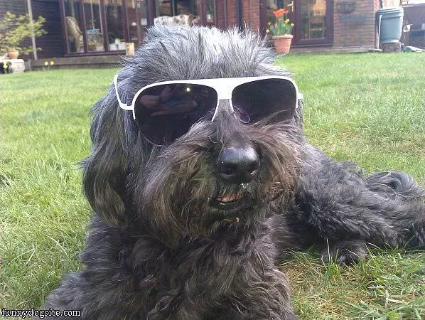 Cool Glasses