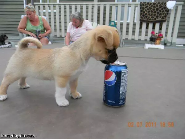 So Thirsty