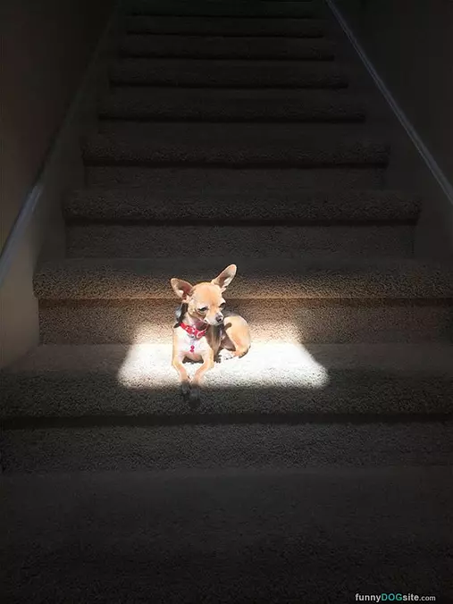 Found The Warmest Spot