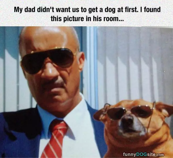 No Dog