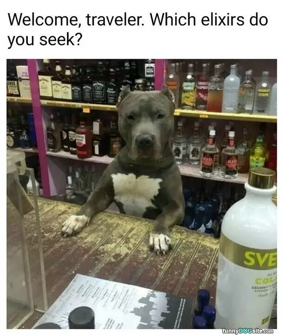 Which Do You Seek
