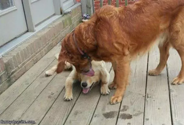 Let Me Get That