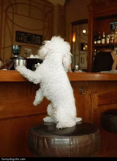 I Need A Drink