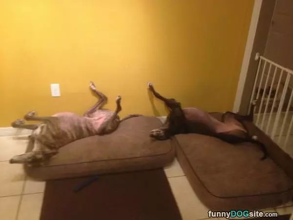 Laying Around Together