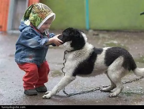 Got Your Nose