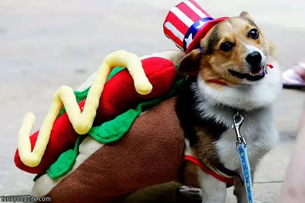 Hotdogg