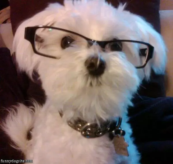 I Got My Glasses