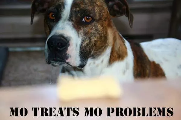 Mo Treats