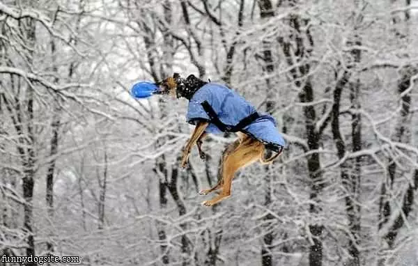 Epic Fetch