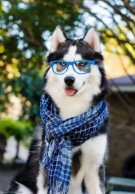 Whats Up Guys