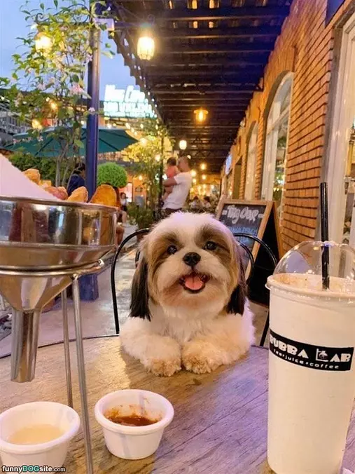 Can I Has A Snack