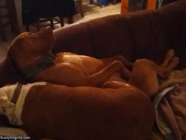 I Sleep How I Want