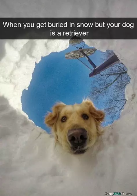 Buried In The Snow