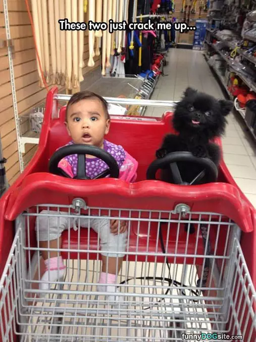 These 2 Crack Me Up