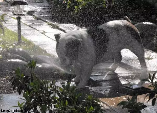 Sprinkler