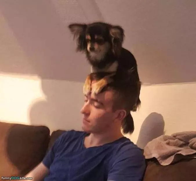 Sitting On Your Head
