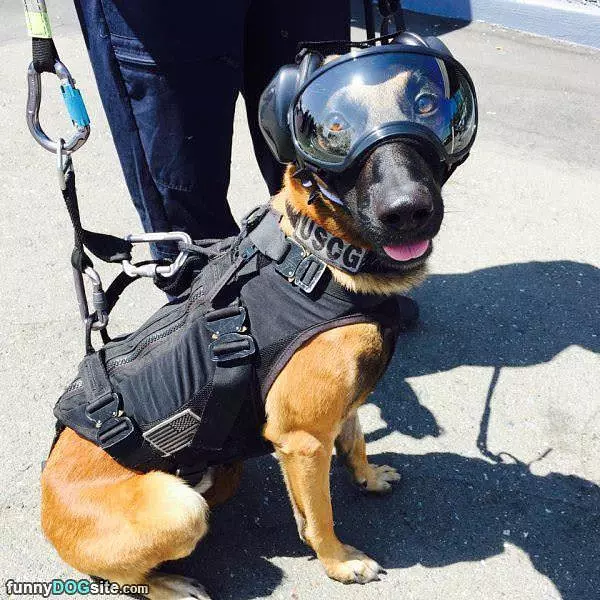 Eye Safety