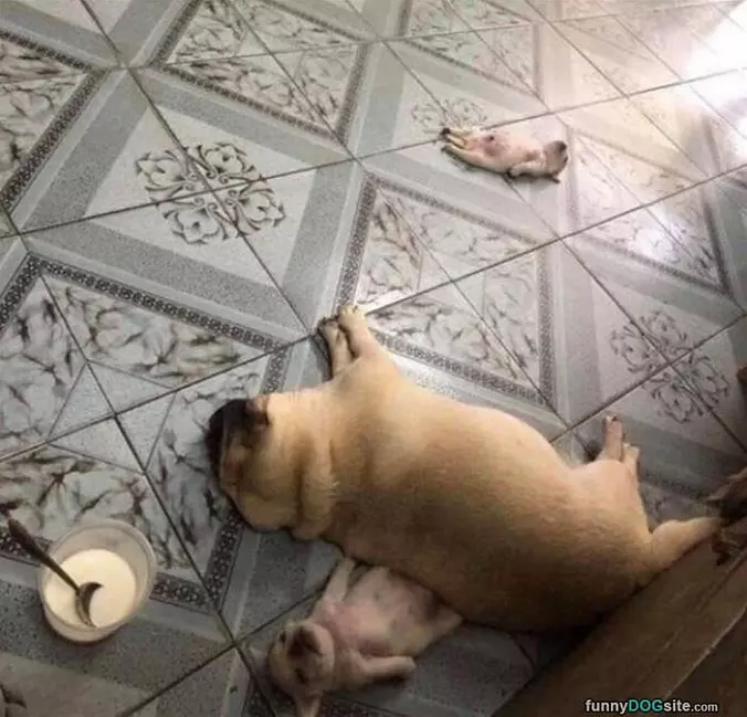 So Asleep