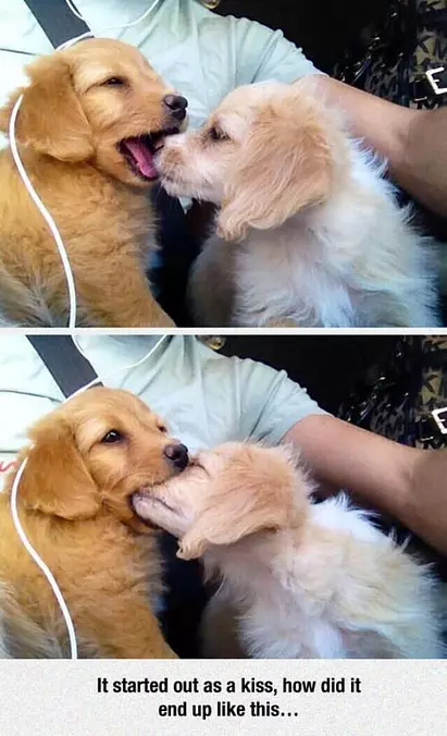 Started As A Kiss