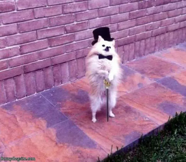 Ready For An Ight Out