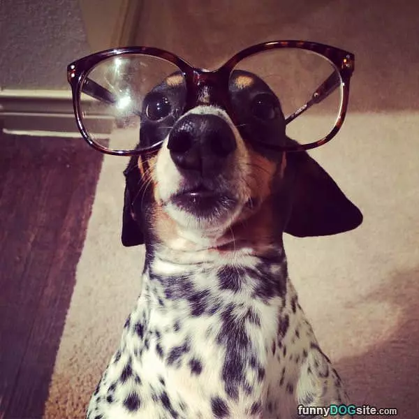 Big Glasses