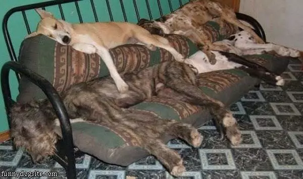 Sleeping Spot