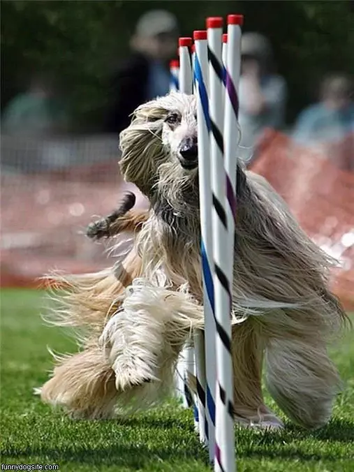 Running Obstacles