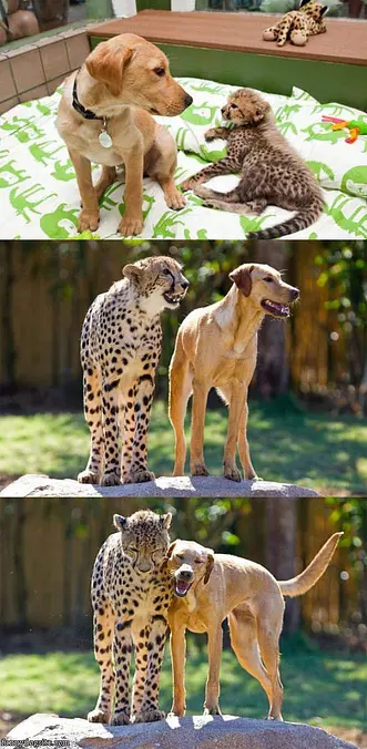 Grew Up Together