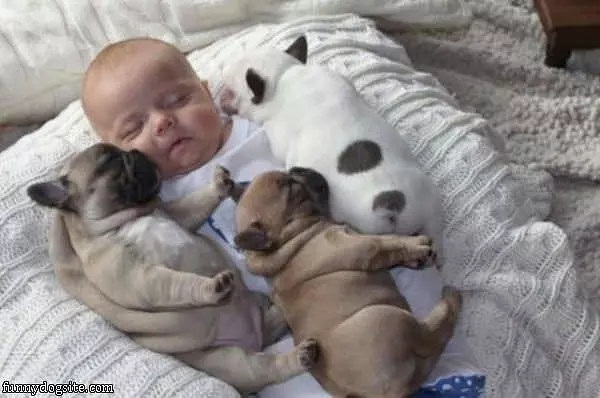 Me And My Puppies