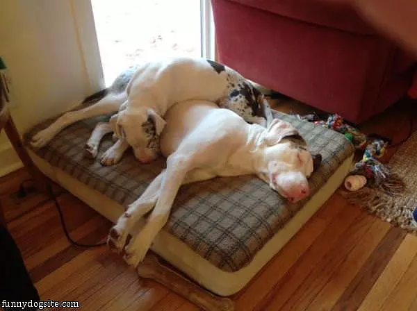 How We Share A Bed