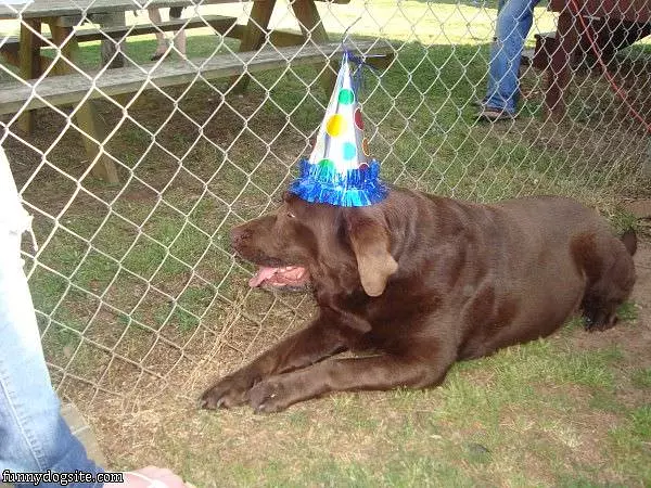Its A Party Now