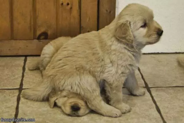 I Sits Here