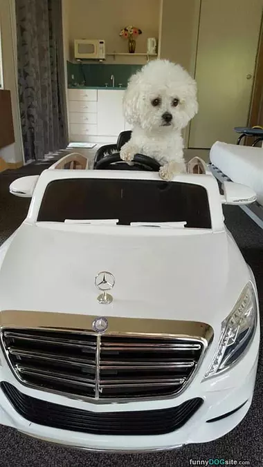 I Love Going For A Drive