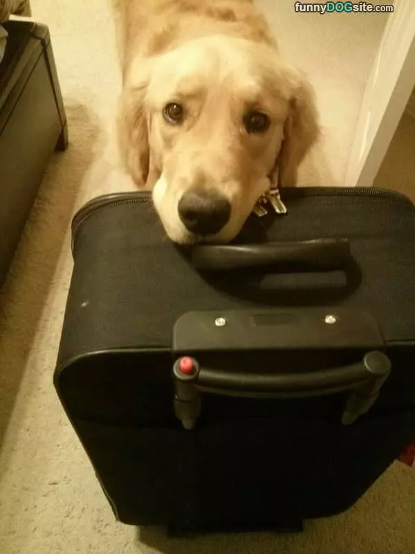 Take Me With You Please