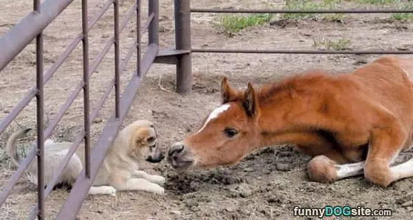 Lets Be Friends