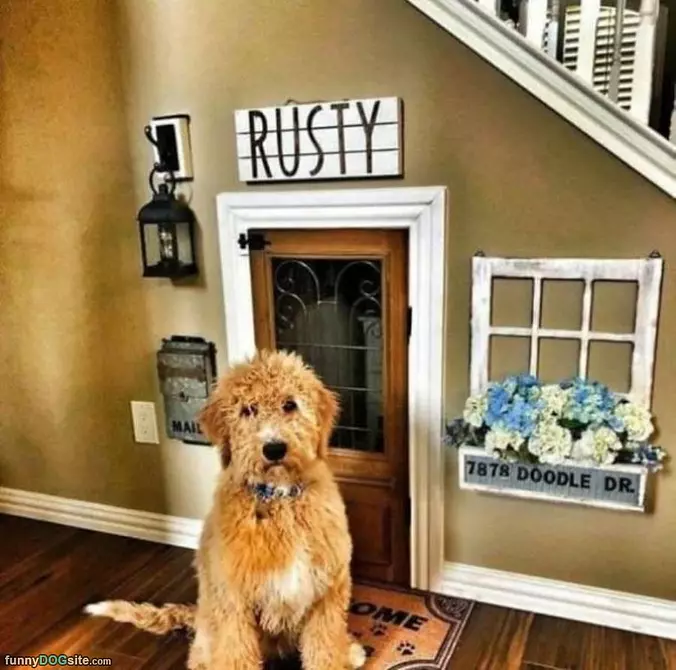 Rustys Spot