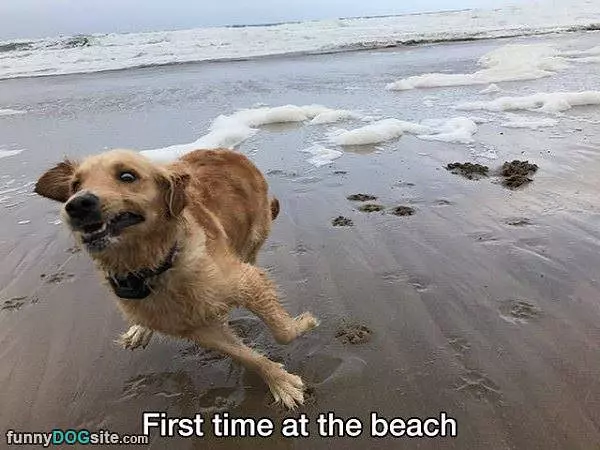 First Time At The Beach