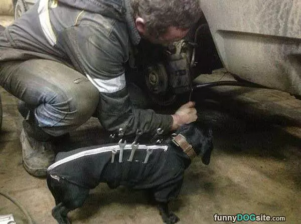 Helping Hand