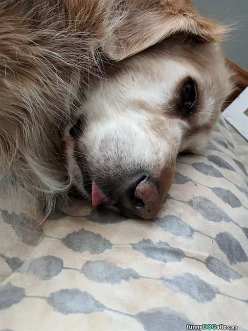 So So So Sleepy