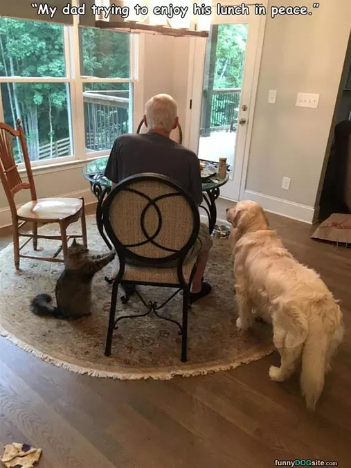 Can I Have Some
