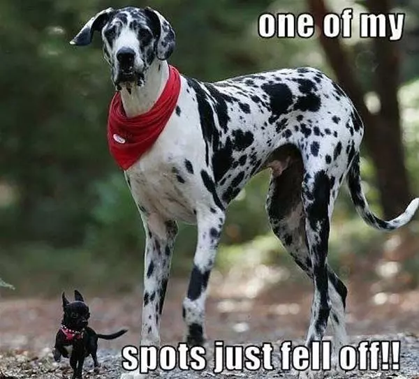 One Of My Spots