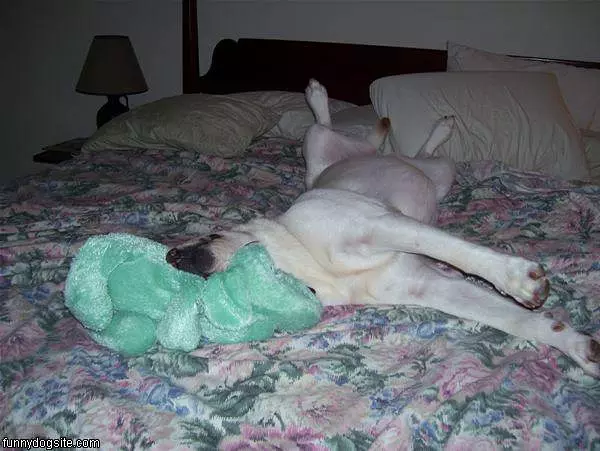 I Am Sooo Tired