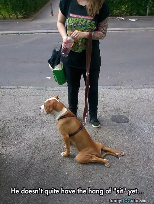 Still Working On Sit