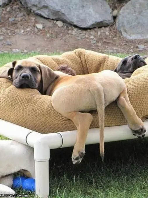 I Am So Relaxed