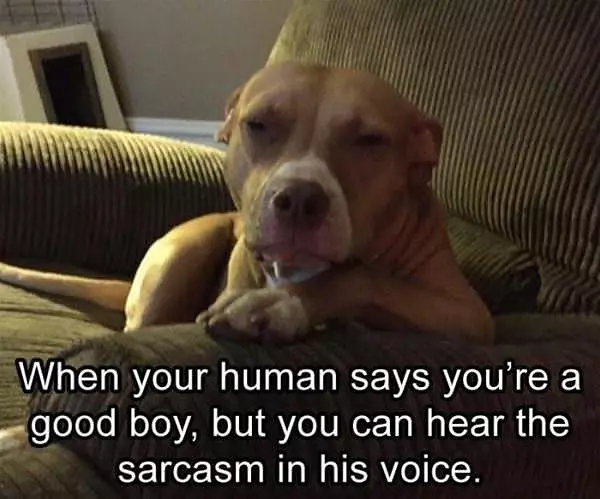 Being A Good Boy