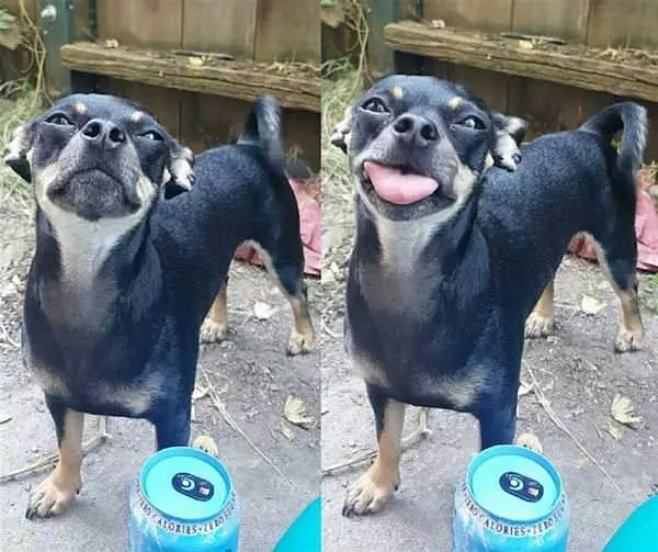 Hi