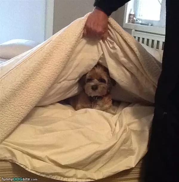 Hey You Woke Me Up