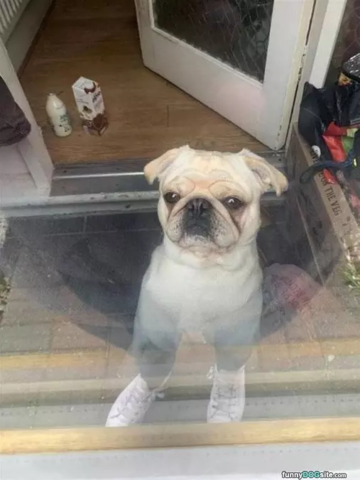 Hey There