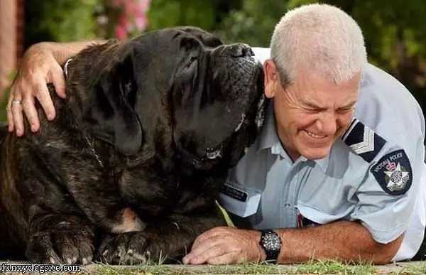 Thats A Big Dog